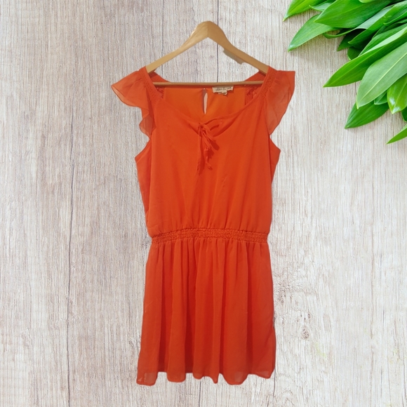 Olive + Oak Fun Chiffon Mini Dress size Large - Picture 1 of 5